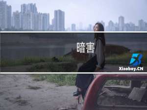 暗害(关于暗害的简介)