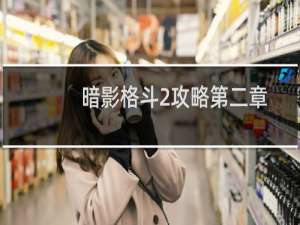 暗影格斗2攻略第二章