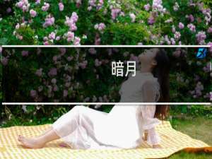 暗月-猎人同人(关于暗月-猎人同人的简介)