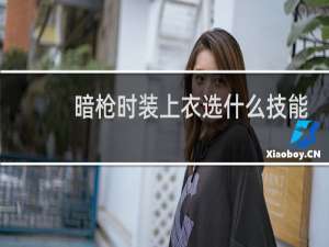 暗枪时装上衣选什么技能