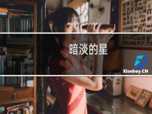 暗淡的星(关于暗淡的星的简介)