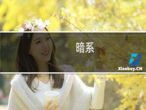 暗系(关于暗系的简介)