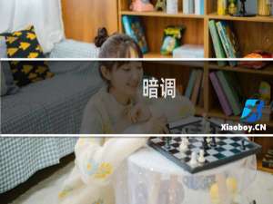 暗调(关于暗调的简介)