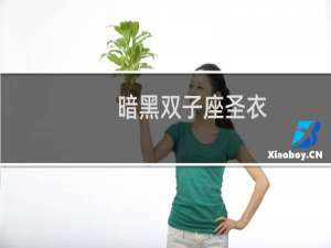 暗黑双子座圣衣