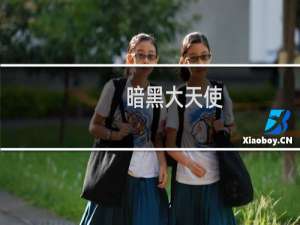 【暗黑大天使：圣导降临】免费暗黑大天使：圣导降临软件下载
