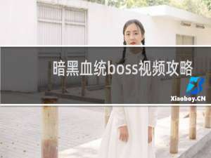 暗黑血统boss视频攻略