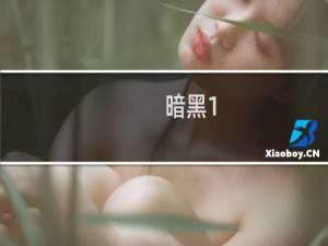 暗黑1.11攻略