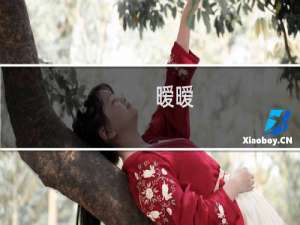 暧暧(关于暧暧的简介)