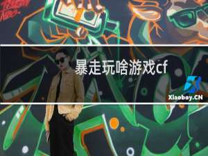 暴走玩啥游戏cf