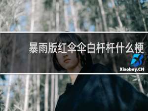 暴雨版红伞伞白杆杆什么梗？什么梗