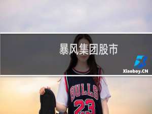 暴风集团股市