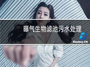 曝气生物滤池污水处理新技术及工程实例(关于曝气生物滤池污水处理新技术及工程实例的简介)