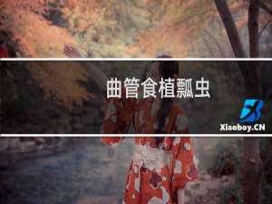曲管食植瓢虫(关于曲管食植瓢虫的简介)