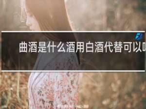 曲酒是什么酒用白酒代替可以吗