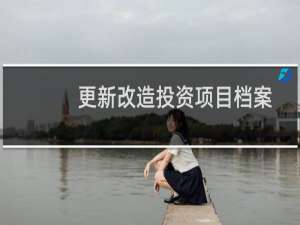 更新改造投资项目档案(关于更新改造投资项目档案的简介)
