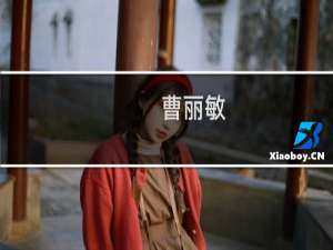 曹丽敏(关于曹丽敏的简介)