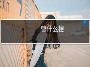 曹什么梗