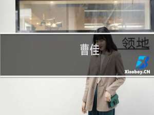 曹佳(关于曹佳的简介)