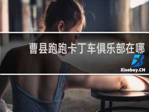 曹县跑跑卡丁车俱乐部在哪