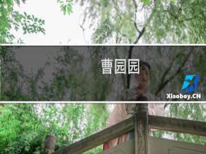 曹园园(关于曹园园的简介)