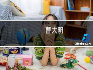 曹大明(关于曹大明的简介)