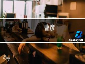 曹彦(关于曹彦的简介)