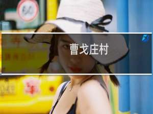 曹戈庄村(关于曹戈庄村的简介)