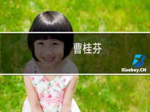 曹桂芬(关于曹桂芬的简介)