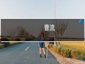 曹流(关于曹流的简介)