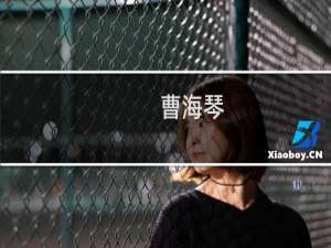 曹海琴(关于曹海琴的简介)