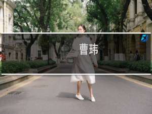 曹玮(关于曹玮的简介)