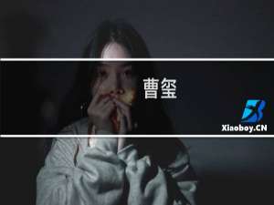 曹玺(关于曹玺的简介)