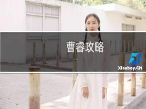 曹睿攻略