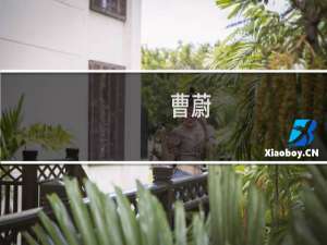 曹蔚(关于曹蔚的简介)