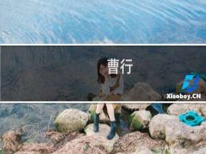 曹行(关于曹行的简介)