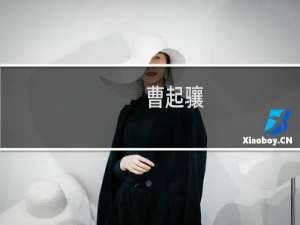 曹起骧(关于曹起骧的简介)