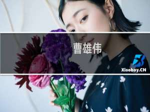 曹雄伟(关于曹雄伟的简介)