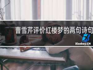 曹雪芹评价红楼梦的两句诗句