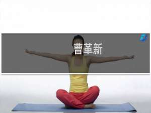 曹革新(关于曹革新的简介)