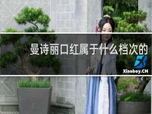 曼诗丽口红属于什么档次的