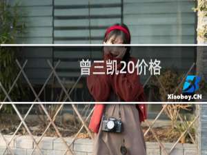 曾三凯 价格