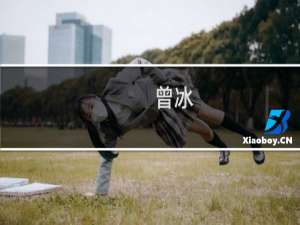 曾冰(关于曾冰的简介)