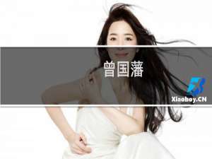 曾国藩(关于曾国藩的简介)