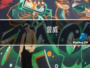曾威(关于曾威的简介)