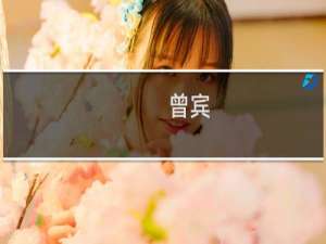 曾宾(关于曾宾的简介)