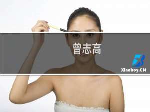 曾志高(关于曾志高的简介)