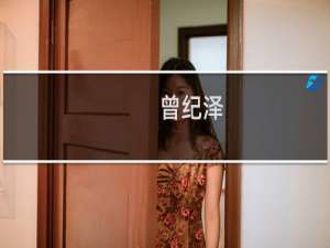 曾纪泽(关于曾纪泽的简介)