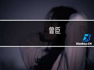 曾臣(关于曾臣的简介)