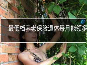 最低档养老保险退休每月能领多少