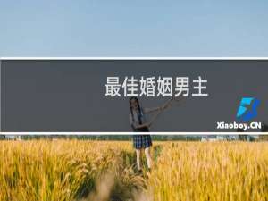 最佳婚姻男主